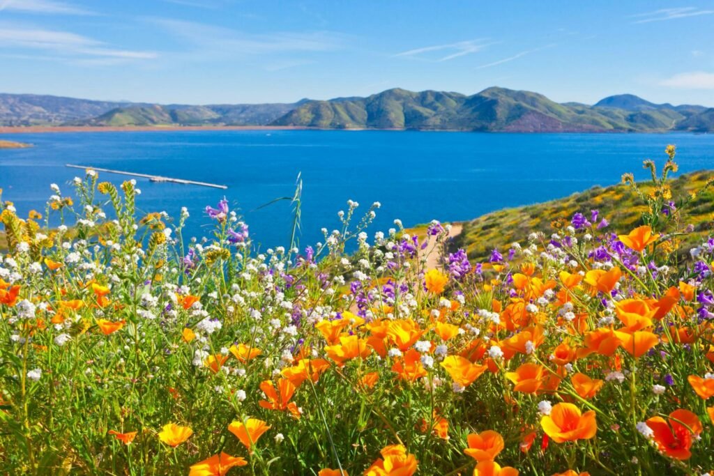 20 Trending Spring Break Camping Destinations For 2024