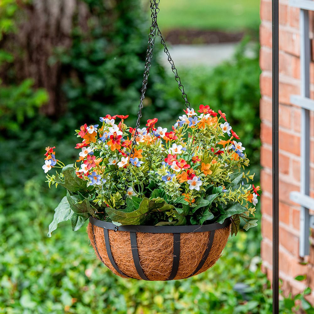 Hanging Plants Outdoor