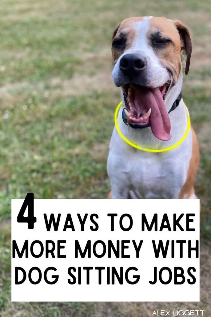 How To Make Money With Dog Sitting Jobs