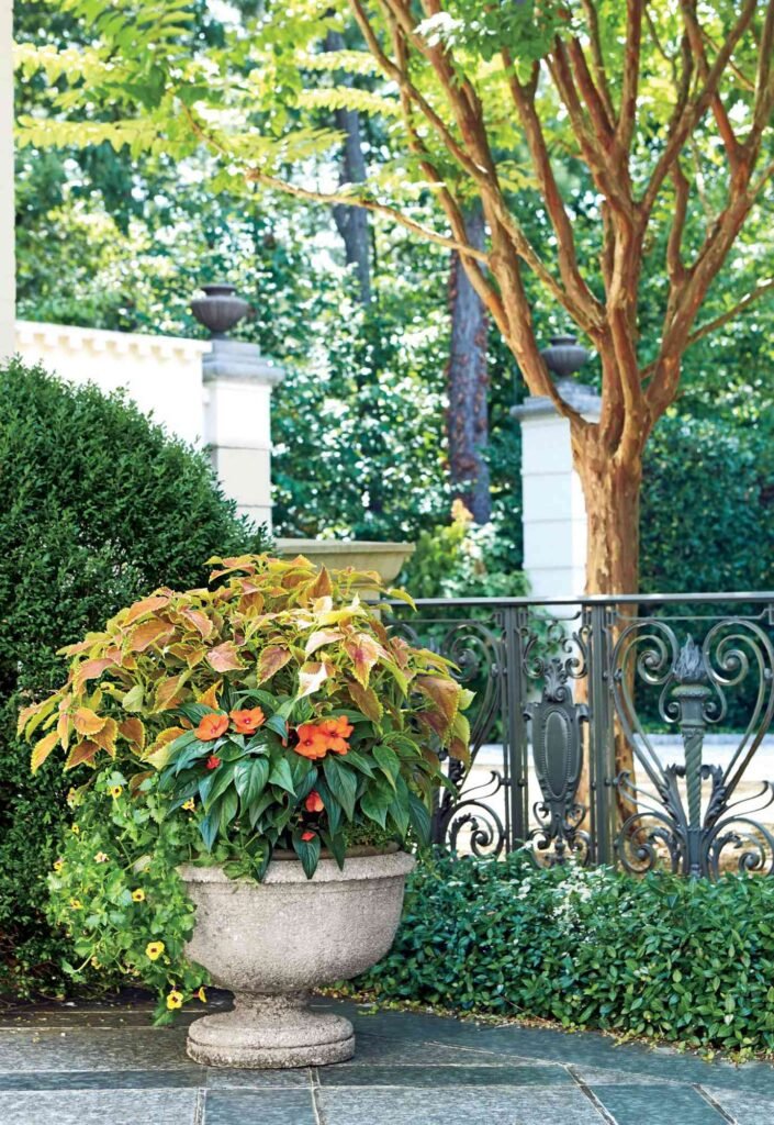 Outdoor Planter Ideas